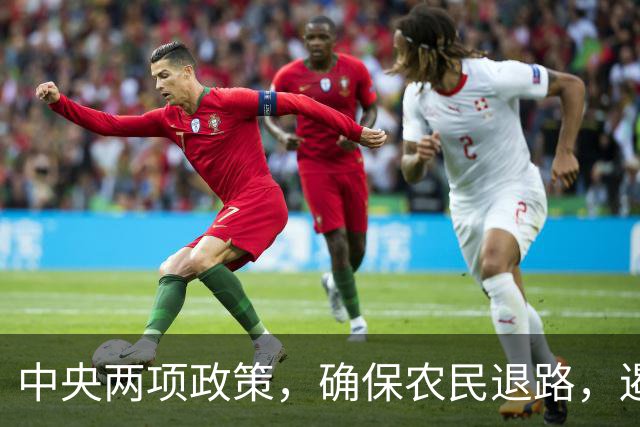 中央两项政策，确保农民退路，遏制资本侵扰农村
